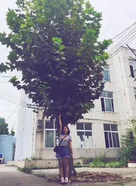 微信图片_20180603223154.jpg