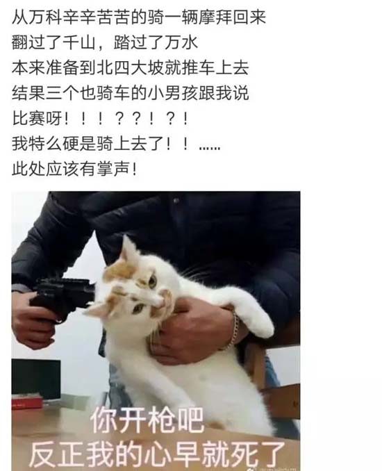 7.webp.jpg
